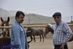 مجموعه تلویزیونی «نزدیکی‌های بهشت» جایگزین سریال «آرماندو» می‌شود